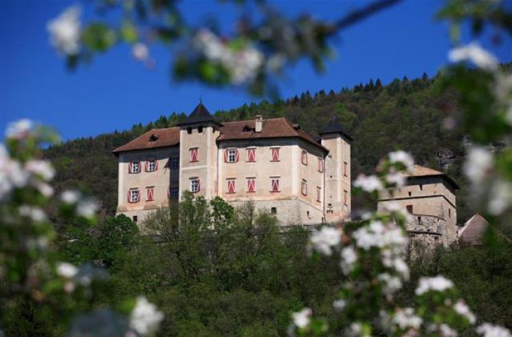 Primavera-Val-di-Non-Castelli-Castel-Thun-esterno-Fiori-Melo-ph-Pio-Geminiani (18)