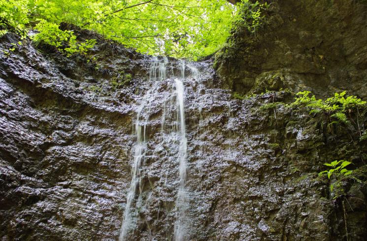 Bellezze naturali in-Val-di-Non-Canyon-Rio-Sass_APT