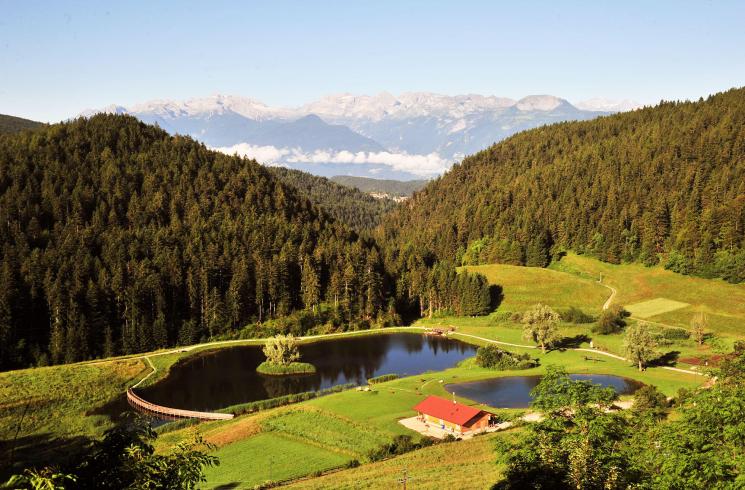 Laghetti di Ruffrè in Apt, Val di Non, Passeggiata Margherita