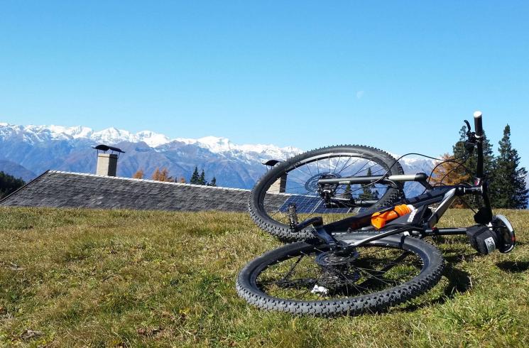 mtb-roen